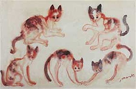 Lima Kucing