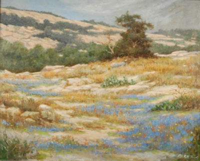 Enchanted Rock Near Fredericksburg, Texas by Jose Perez - Auction record, sale price, and art valuation. Compare with similar artists and explore comparable artworks.
