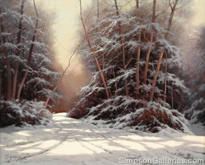 SNOW SHADOWS