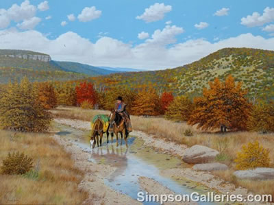 Spring In The Hill Country