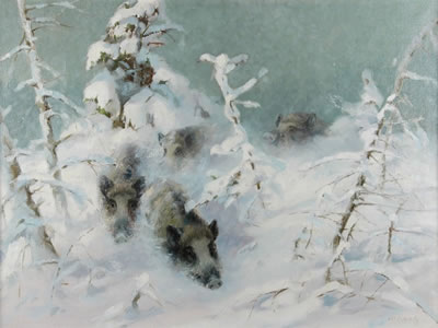 Wild Boars in Snow