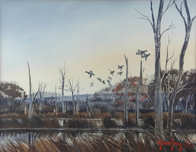 Ducks in Flight