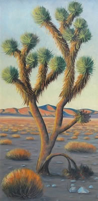 Desert Landscape/Joshua Tree