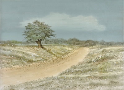 Texas Landscape