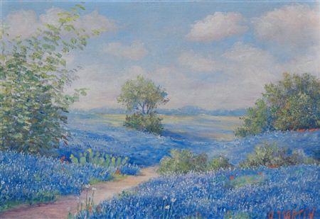 Bluebonnets
