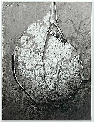 "HIve II"
