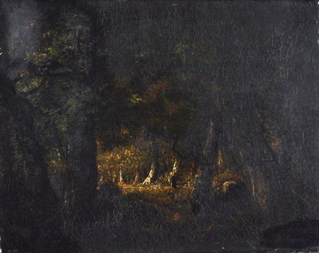 Forest Landscape