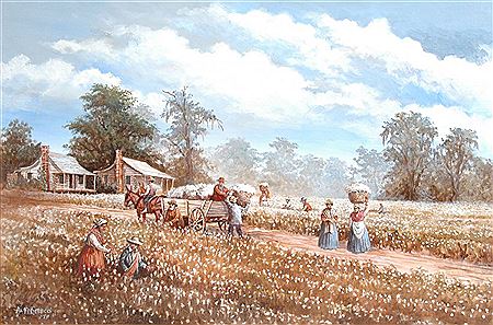 Picking Cotton