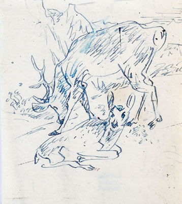Reh und Hirsch