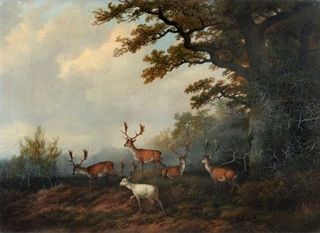 Damwild am Waldrand. by Georg Hohn - Auction record, sale price, and art valuation. Compare with similar artists and explore comparable artworks.