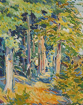 Lichte Waldlandschaft im Frühsommer.