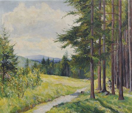 Erzgebirgslandschaft.