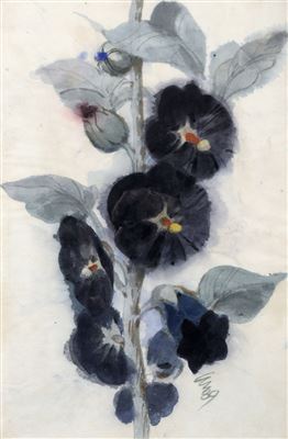 Dunkelviolette Stockrose.