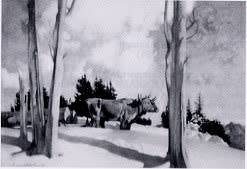 Oxen Team in a Snow