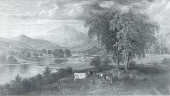 Landscape Scene with Cattle Grazing