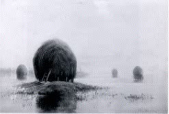 High Tide on a May Morning