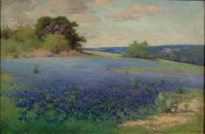 Texas Bluebonnets