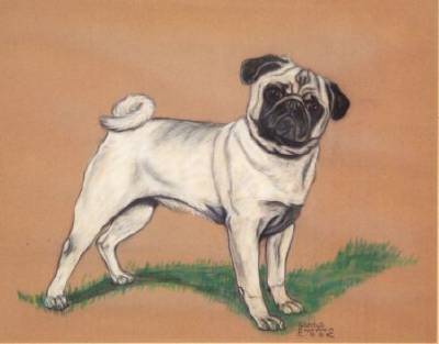 Standing Pug by Gladys Emerson Cook - Auction record, sale price, and art valuation. Compare with similar artists and explore comparable artworks.