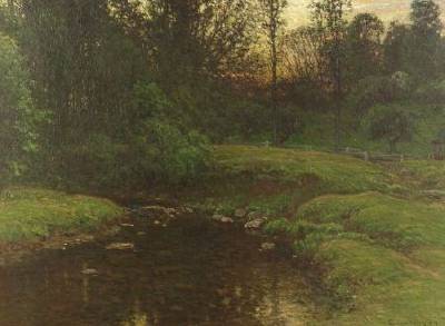 Woodland Stream