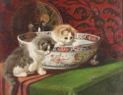 Kittens in a Bowl