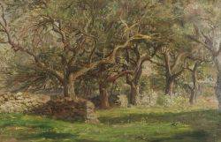 Orchard at Cajacet