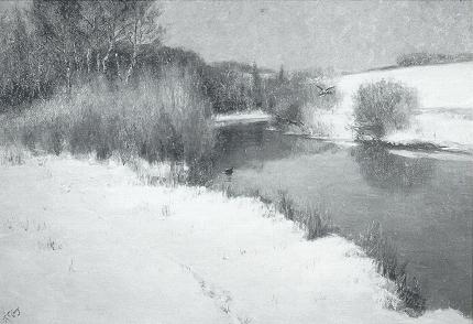 Ducks on a Winter River