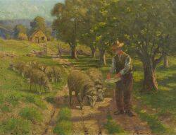 Salting the Sheep