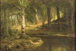 Forest Interior