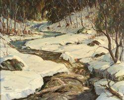 Maine Winter Woodland Scene