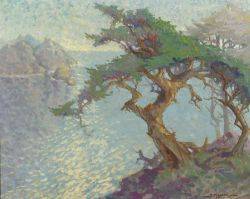 California Coastal View