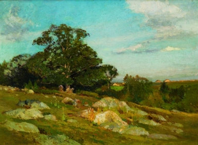 Rocky field, Late Afternoon