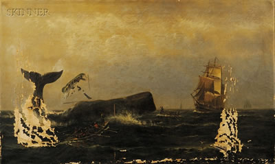 CAPTURING A SPERM WHALE