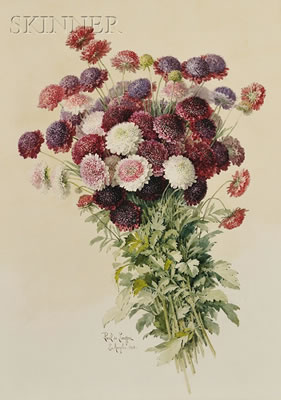 Bouquet of Chrysanthemums