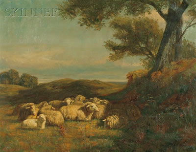 Sheep in a Field