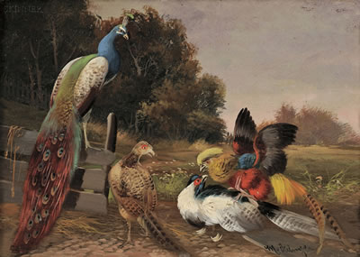 Still Life with Peacock and Pheasants