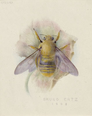 Bumblebee