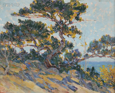 Windswept Cypress/A California View