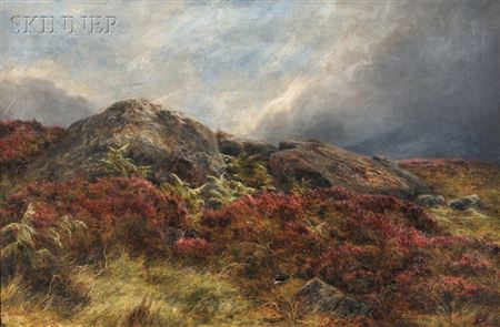 Rock and Heather in Scotland
