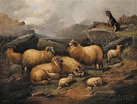 Flock and Sheepdog
