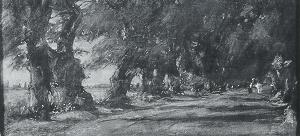 The Shaded Lane