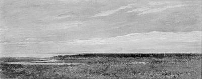 The Marshes from Sunset Hill