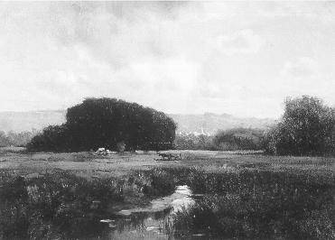 Cow Pastures, Early Autumn