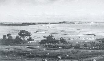 Salt Flats and Shore