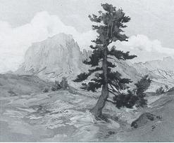 The Lone Pine by Lucy Conant - Auction record, sale price, and art valuation. Compare with similar artists and explore comparable artworks.