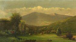 Open Landscape with Cattle Grazing