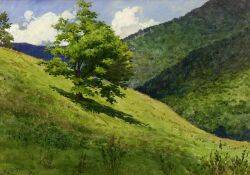 Hillside Landscape