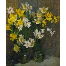 Jonquils and Narcissus