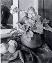 Still Life with Primroses and Pears by Gertrude Tonsberg - Auction record, sale price, and art valuation. Compare with similar artists and explore comparable artworks.