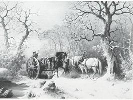 Rest along the Logging Trail, Winter