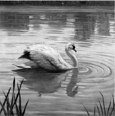 The Swan by Benjamin Kelman - Auction record, sale price, and art valuation. Compare with similar artists and explore comparable artworks.